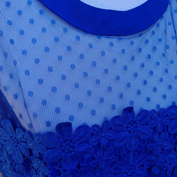 Angela Plus Blue Blouse Illusion Neckline Lace Polka-Dots NWT - Picture 4 of 9